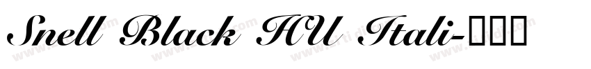 Snell Black HU Itali字体转换
